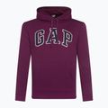 Кофта чоловіча GAP V-Heritage Logo PO SNL beach plum 2