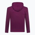 Кофта чоловіча GAP V-Heritage Logo PO SNL beach plum 3