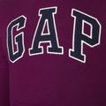 Кофта чоловіча GAP V-Heritage Logo PO SNL beach plum 4