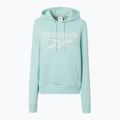 Жіночий світшот Reebok Identity Big Logo Fleece glitch aqua 5