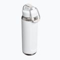 Пляшка термічна Stanley Classic Wellspring frost 2