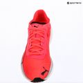 Кросівки для бігу жіночі Puma Liberate Nitro sunblaze/white 9