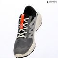 Кросівки для бігу чоловічі Salomon Alphaglide GTX castlerock/lunar rock 9