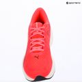 Кросівки для бігу Puma Electrify Nitro 5 ultra red/inky depths 15