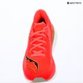 Кросівки для бігу жіночі Saucony Endorphin Azura vizired 16