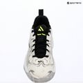 Кросівки для баскетболу чоловічі Nike Giannis Immortality 5 white/off white/metallic silver 16