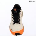 Кросівки для бігу жіночі Salomon Genesis 2 GTX rainy day/desert tan 15