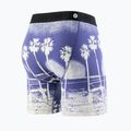 Труси чоловічі Stance In Paradise Brief blue 2