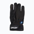 Чоловічі лижні рукавички Oakley Factory Winter Gloves 2.0 blackout 7