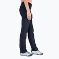 Штани трекінгові жіночі Columbia Silver Ridge 2.0 black 2