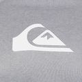 Лонгслів чоловічий Quiksilver All Time grey 3