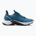 Кросівки для бігу чоловічі Salomon Alphacross 3 bluesteel/lunar rock/black 2