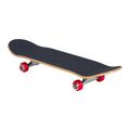 Скейтборд класичний Santa Cruz Classic Dot Mid 7.8 зелений 118731 2