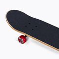 Скейтборд класичний Santa Cruz Classic Dot Mid 7.8 зелений 118731 6