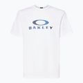 Футболка чоловіча Oakley Camo Ellipse Tee white
