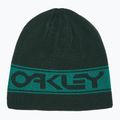 Шапка Oakley TNP Reversible зелена FOS901066 4