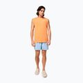 Шорти для плавання чоловічі Oakley Beach Volley 16" блакитні FOA4043106EK 9
