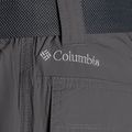 Трекінгові штани чоловічі  Columbia Silver Ridge II Converti city grey 10
