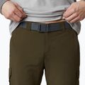 Трекінгові штани чоловічі  Columbia Silver Ridge II Converti olive green 6