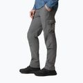 Трекінгові штани чоловічі  Columbia Silver Ridge II Cargo city grey