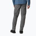 Трекінгові штани чоловічі  Columbia Silver Ridge II Cargo city grey 4
