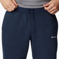 Шорти трекінгові чоловічі Columbia Logo Fleece collegiate navy 4