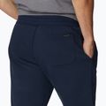 Шорти трекінгові чоловічі Columbia Logo Fleece collegiate navy 5