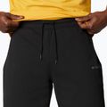 Шорти трекінгові чоловічі Columbia Logo Fleece black 4