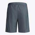 Шорти тренувальні чоловічі  Nike Flex Vent Max Short сірі CJ1957-084 2