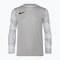 Футболка воротарська дитяча Nike Dri-FIT Park IV гoalkeeper pewter гrey/white/black