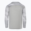 Футболка воротарська дитяча Nike Dri-FIT Park IV гoalkeeper pewter гrey/white/black 2