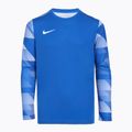 Футбольна кофта дитяча Nike Dry-Fit Park IV блакитна CJ6072-463