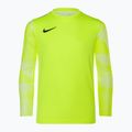 Футболка воротарська дитяча Nike Dri-FIT Park IV гoalkeeper volt/white/black