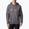 Кофта трекінгова чоловіча Columbia CSC Basic Logo II Hoodie city grey heather/csc branded logo