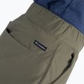 Шорти трекінгові жіночі Columbia Firwood Camp II stone green 5