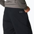 Штани трекінгові жіночі Columbia Pleasant Creek Warm Jogger black 5