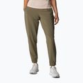 Штани трекінгові жіночі Columbia Pleasant Creek Warm Jogger stone green