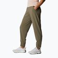 Штани трекінгові жіночі Columbia Pleasant Creek Warm Jogger stone green 2