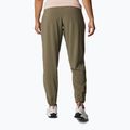 Штани трекінгові жіночі Columbia Pleasant Creek Warm Jogger stone green 3