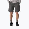 Шорти чоловічі Patagonia Terravia Trail 10" forge grey