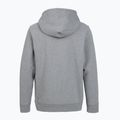 Кофта трекінгова жіноча Patagonia P-6 Label Uprisal Hoody gravel heather 2