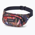Підсумок для нирок Dakine Hip Hip dark starazer