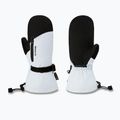 Рукавиці для сноуборду жіночі Dakine Sequoia Gore-Tex Mitt ancient water