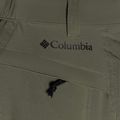 Штани для трекінгу чоловічі Columbia Triple Canyon 397 зелені 1711681 11