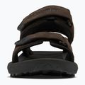 Трекінгові сандалі чоловічі Columbia Trailstorm Hiker 2 Strap bark/black 12