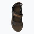 Трекінгові сандалі чоловічі Columbia Trailstorm Hiker 3 Strap cordovan/gold amber 6
