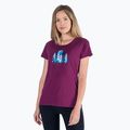 Футболка трекінгова жіноча Columbia Daisy Days Graphic marionberry heather/thru the pines