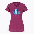 Футболка трекінгова жіноча Columbia Daisy Days Graphic marionberry heather/thru the pines 7