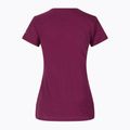 Футболка трекінгова жіноча Columbia Daisy Days Graphic marionberry heather/thru the pines 8