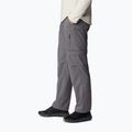 Штани трекінгові чоловічі Columbia Silver Ridge Utility Convertible city grey 4